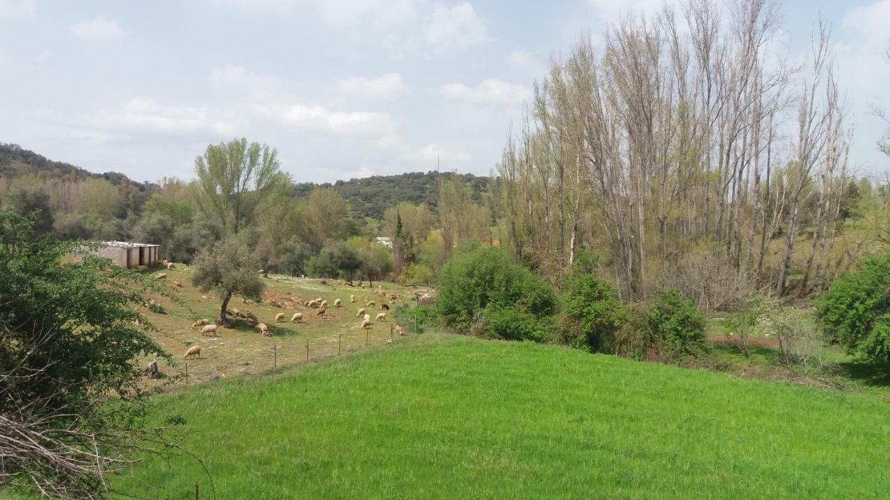 Casa Rural El Jardin Del Hueznar San Nicolás del Puerto المظهر الخارجي الصورة